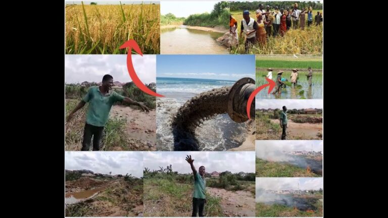 rice farmers cries, very sad. plastic pollution